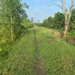 Bán lô đất 1.211 m² Đức Huệ Tây Ninh 1.9 tỷ - Ảnh thu nhỏ 1