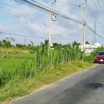 Bán 250m2 đất thổ mặt tiền Phạm Văn Điền Tân An Long An - Ảnh thu nhỏ 2