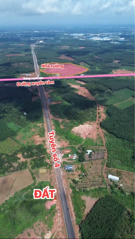 Bán đất 2,6 ha tại KCN Đồng Phú, giá 3 tỷ