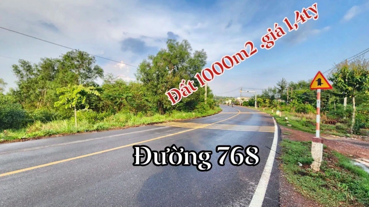 Bán lô đất 1000m2 mặt tiền đường 768 Đồng Nai - Ảnh thu nhỏ 4