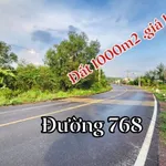 Bán lô đất 1000m2 mặt tiền đường 768 Đồng Nai - Ảnh thu nhỏ 4