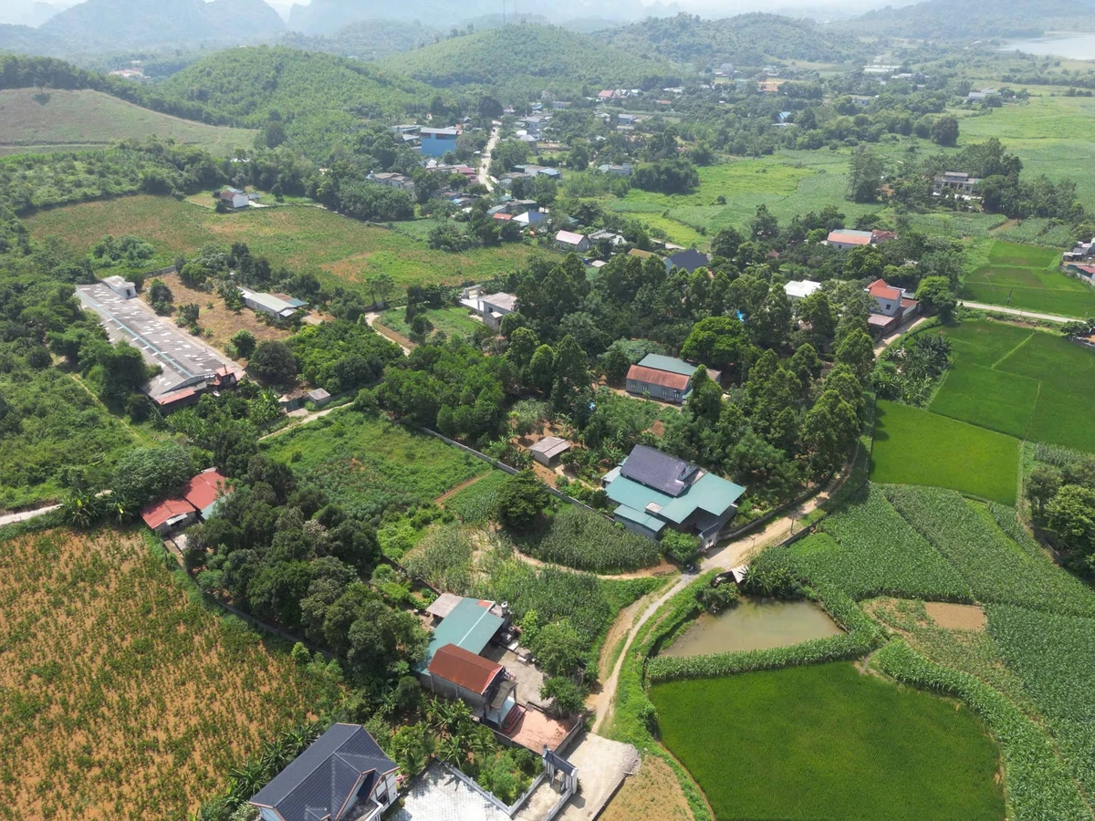 Bán đất nông nghiệp 2000 m² Thanh Oai Hà Nội - Ảnh thu nhỏ 5