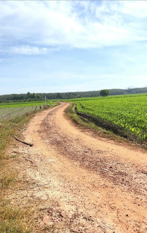 Bán 2000m² đất LUC Châu Thành Tây Ninh 400 triệu