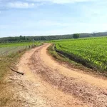 Bán 2000m² đất LUC Châu Thành Tây Ninh 400 triệu - Ảnh thu nhỏ 1