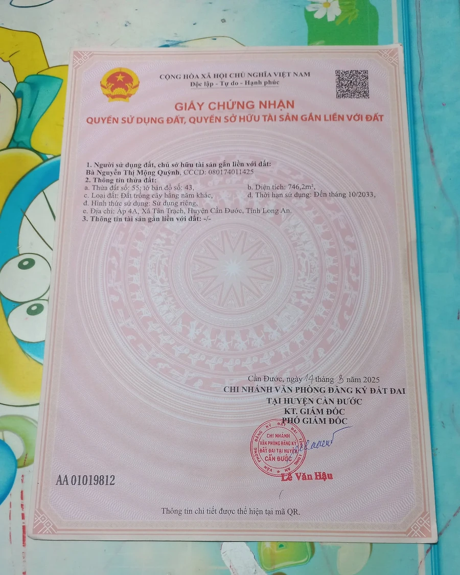 Bán đất vườn 746m2 tại Xã Mỹ Lệ Long An - Ảnh thu nhỏ 3