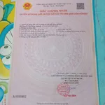 Bán đất vườn 746m2 tại Xã Mỹ Lệ Long An - Ảnh thu nhỏ 3