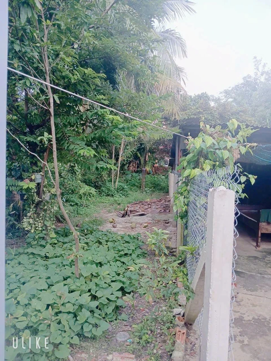 Bán đất thổ cư 100% Long Hoa Tây Ninh 10x28.5m - Ảnh thu nhỏ 2