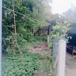 Bán đất thổ cư 100% Long Hoa Tây Ninh 10x28.5m - Ảnh thu nhỏ 2