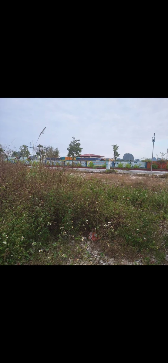 Bán đất 87.5m2 mặt tiền 5m Vân Đồn Quảng Ninh 3 tỷ - Ảnh thu nhỏ 4