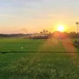Hàng hiếm, view lúa mặt tiền Lê Thánh Tông, đất nở hậu, vị trí đẹp trong khu vực - Ảnh thu nhỏ 7