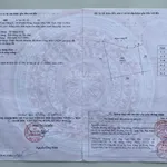 HOT HOT CHÍNH CHỦ CẦN BÁN ĐẤT VỊ TRÍ ĐẸP TẠI Xã Khánh Hưng, H. Trần Văn Thời, Cà Mau - Ảnh thu nhỏ 3