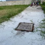 Bán 300m2 đất thổ cư sổ hồng riêng tại Tân Kim, Cần Giuộc, tặng GPXD 1 trệt 1 lầu - Ảnh thu nhỏ 3