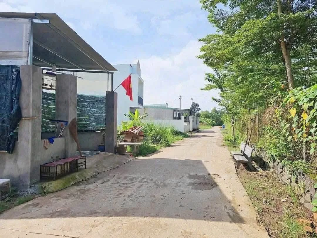 Bán đất sổ riêng thổ cư 6x25m Sông Trầu Bình Dương - Ảnh thu nhỏ 5