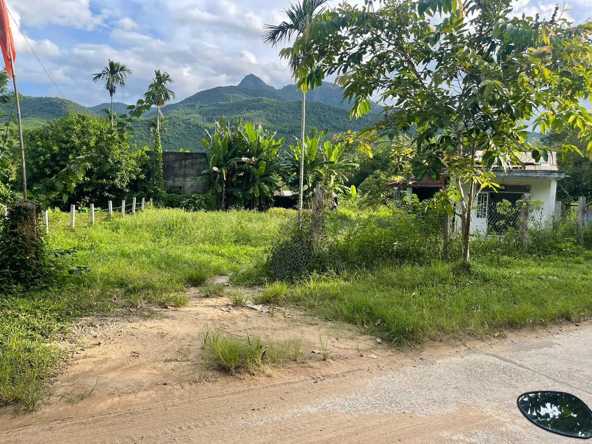 Bán lô đất vườn 2500m² view cánh đồng Hòa Bắc - Ảnh thu nhỏ 2