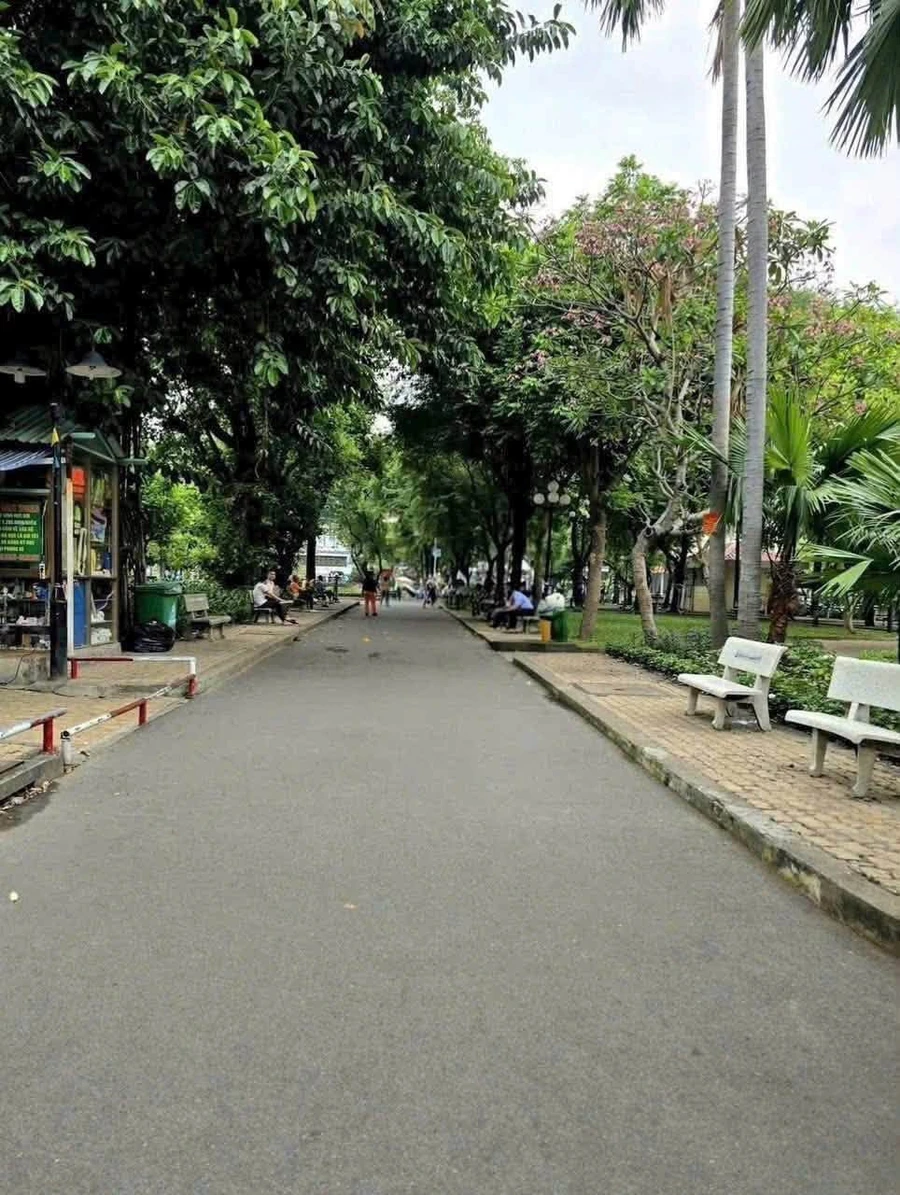 Bán nhà mặt tiền 3 tầng nở hậu 87,8m² đường Trần Kế Xương, Phường 7, Phú Nhuận - Ảnh thu nhỏ 3