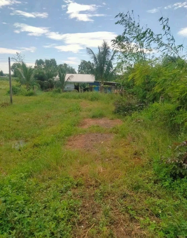 Bán 200m đất cây trồng Xã Hàm Liêm, Lâm Đồng