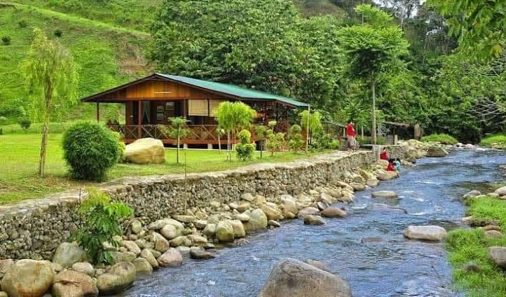 Bán nhà vườn 1000m² Nam Xuân Nam Đàn, view núi, bám suối - Ảnh 1