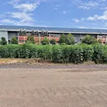 Bán đất 500m2 sau Công ty Allwell, Bà Rịa - Vũng Tàu - Ảnh thu nhỏ 3