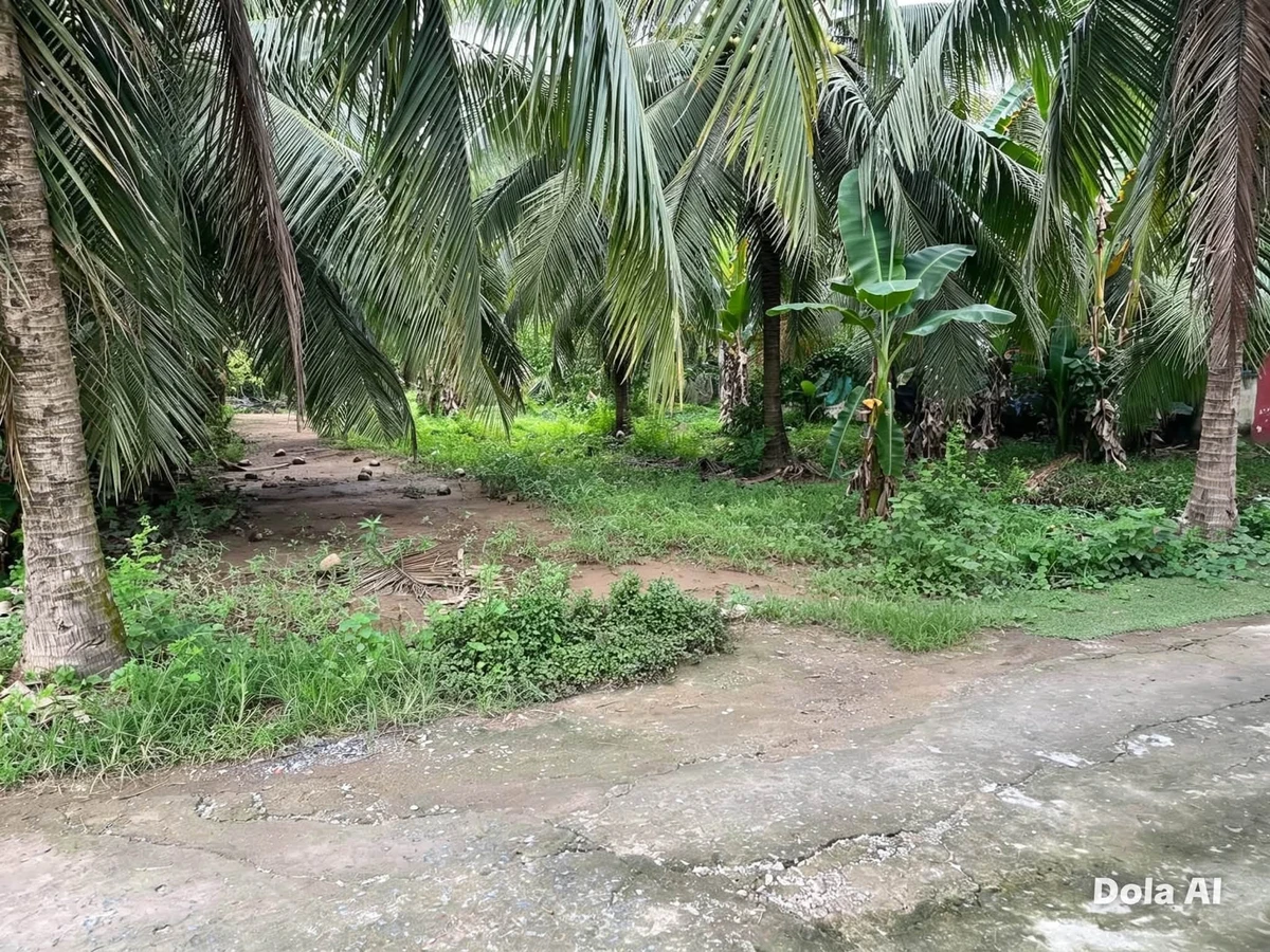 Bán đất Xã Phú Nhuận Bến Tre 400m2 giá 650 triệu - Ảnh thu nhỏ 2
