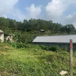 Bán đất 300m2 Tân Ba Thuỷ Bằng 900 triệu - Ảnh thu nhỏ 1