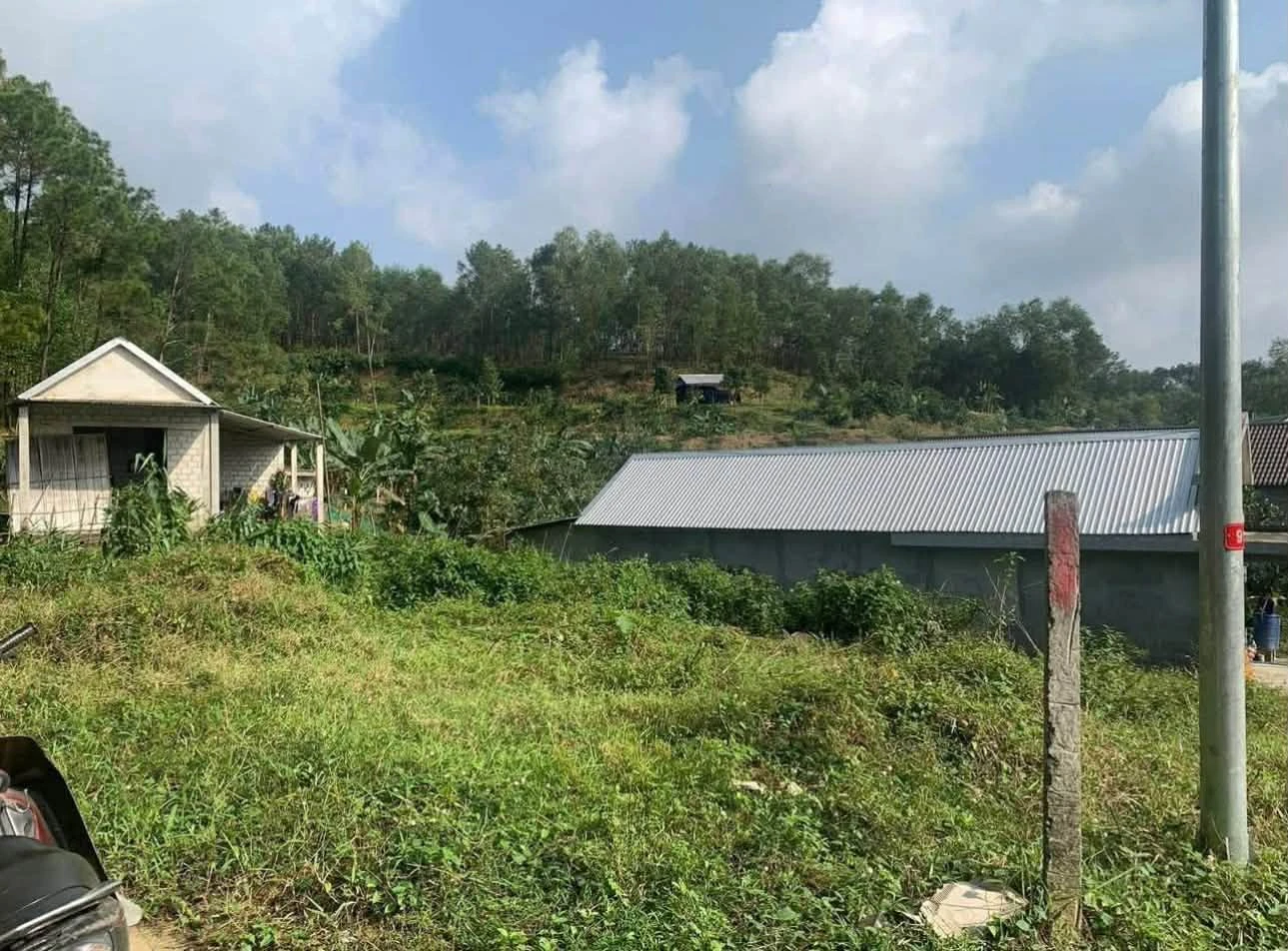 Bán đất 300m2 Tân Ba Thuỷ Bằng 900 triệu - Ảnh 1