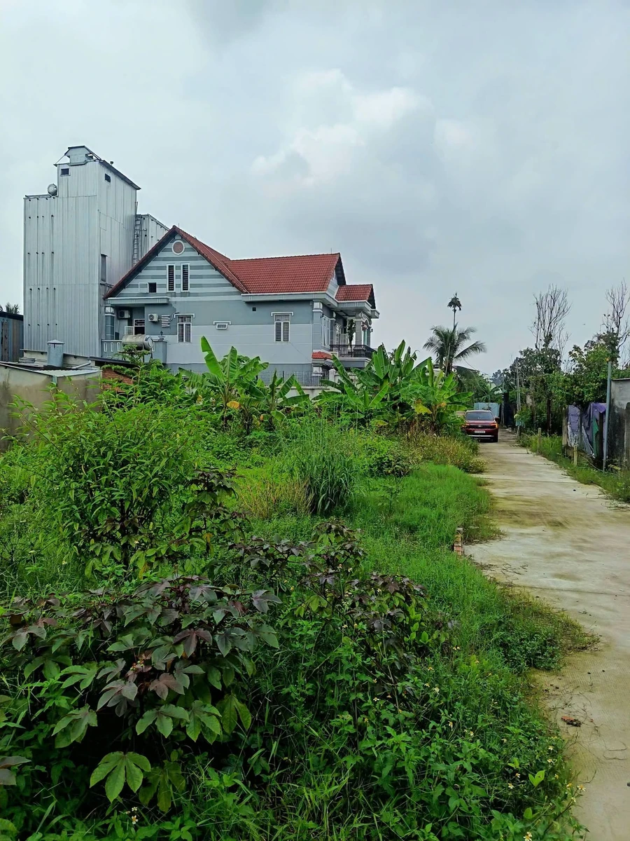 Bán đất Thủ Dầu Một 76m² chỉ 1 tỷ 790 triệu - Ảnh thu nhỏ 2