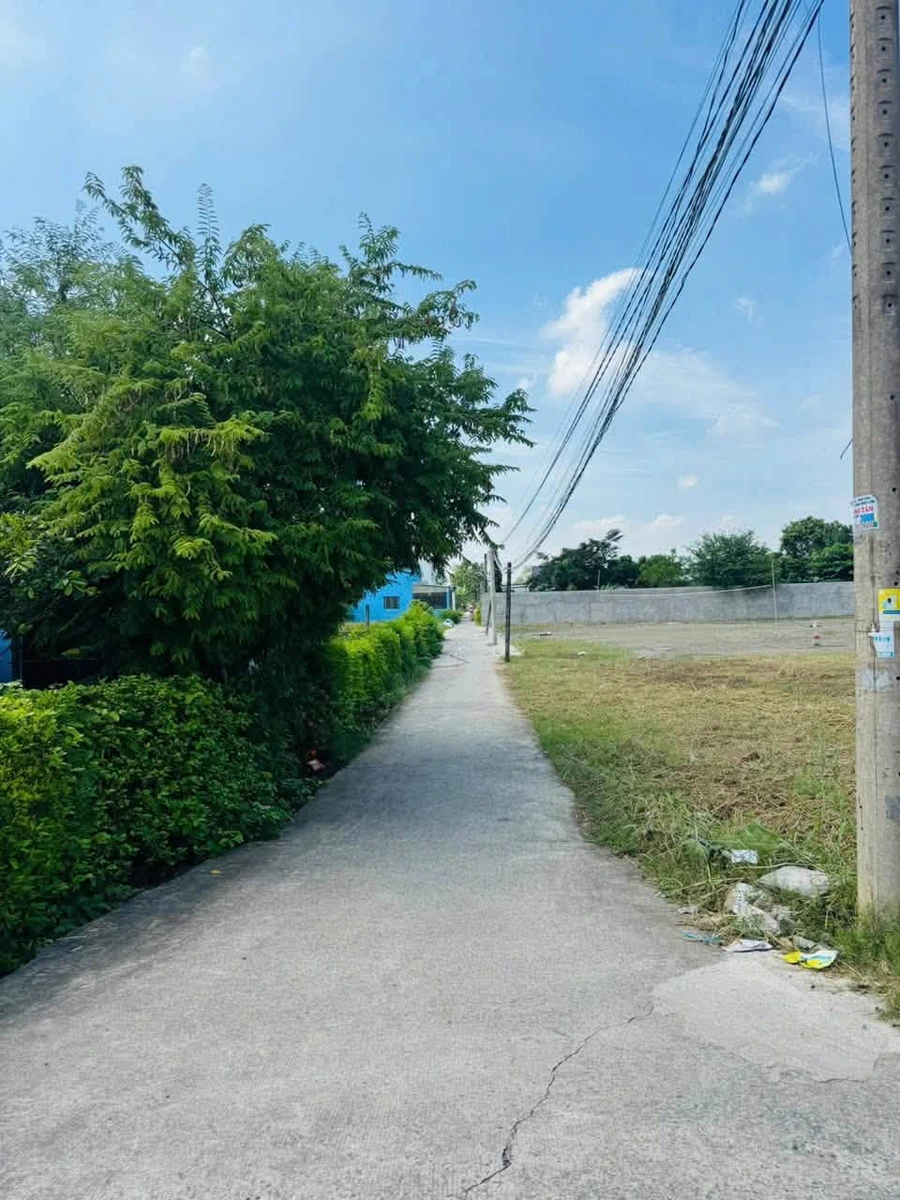 Bán đất thổ cư SHR 225m2 Trần Văn Nghĩa Tây Ninh - Ảnh thu nhỏ 4