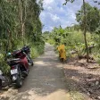 Bán lô đất 28ha (28 mẫu) - cách mặt tiền đường Tỉnh 986A đi U Minh - Cà Mau 0,5km - xã Nguyễn Phích - Ảnh thu nhỏ 9