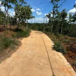 Bán lô đất vườn full cà phê và tiêu có thổ cư 680tr/2000m2 sẵn 300m2 thổ cư đường bêtông 0938 609 *** - Ảnh thu nhỏ 12