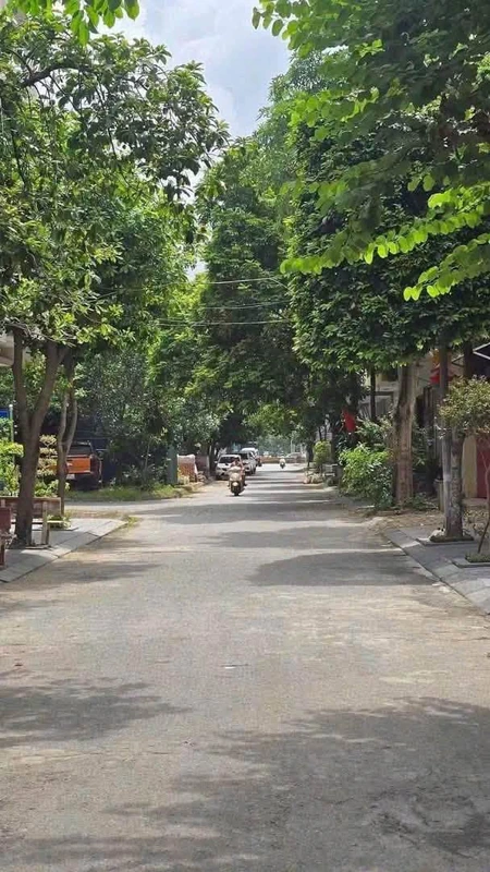 Bán đất Đặng Thái Mai Hải Dương 67,5m² 3 tỷ 5