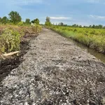 Bán đất vườn 500m² Long An giá 295 triệu - Ảnh thu nhỏ 3