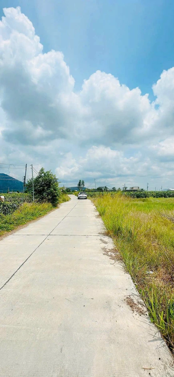 Bán đất 1.000m² mặt tiền Hàm Minh, Bình Thuận - Ảnh thu nhỏ 2