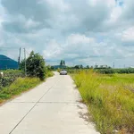 Bán đất 1.000m² mặt tiền Hàm Minh, Bình Thuận - Ảnh thu nhỏ 2