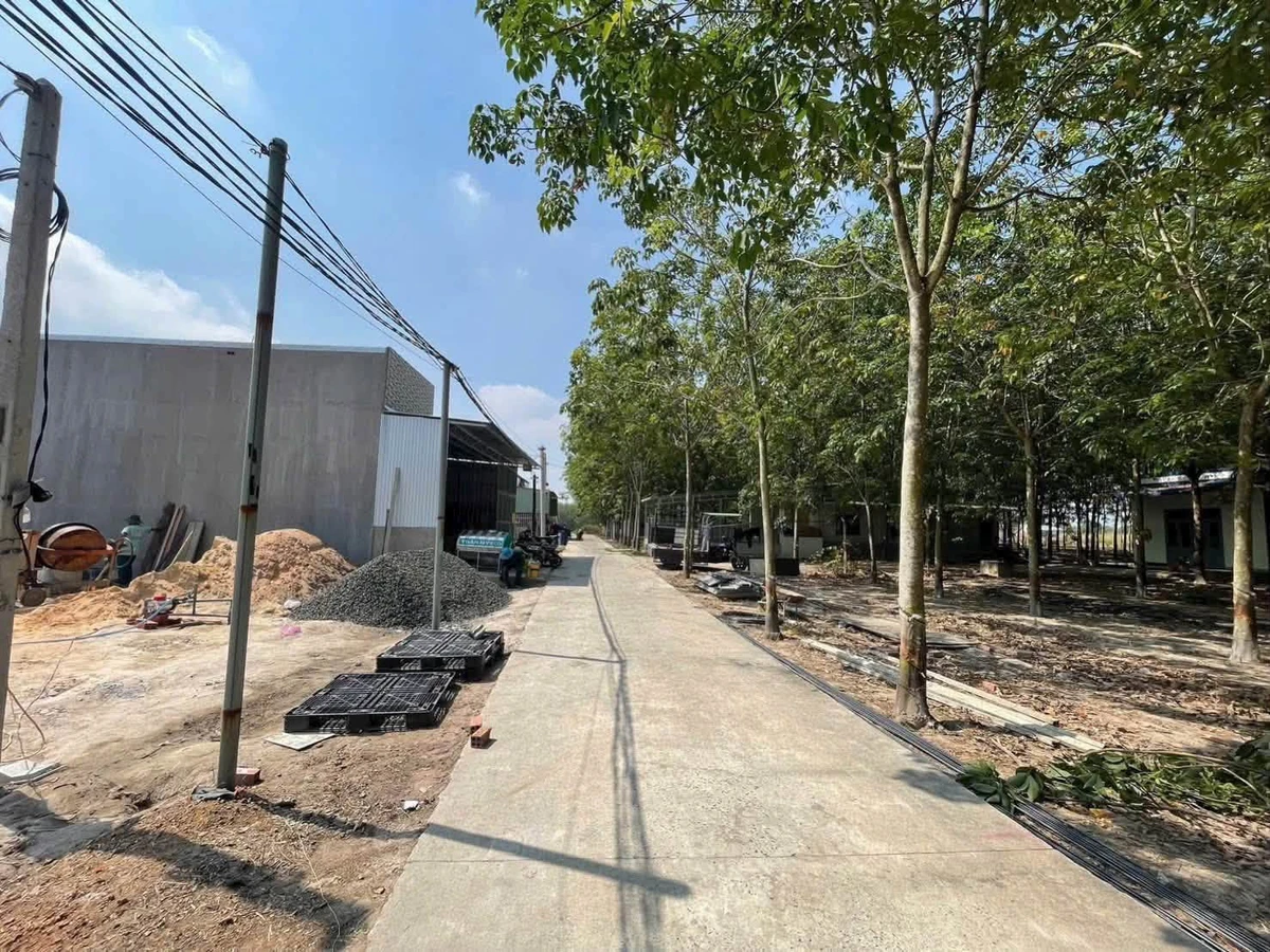 Bán đất Số 31 Minh Thành 100m2 gần KCN Becamex 560 triệu - Ảnh 1