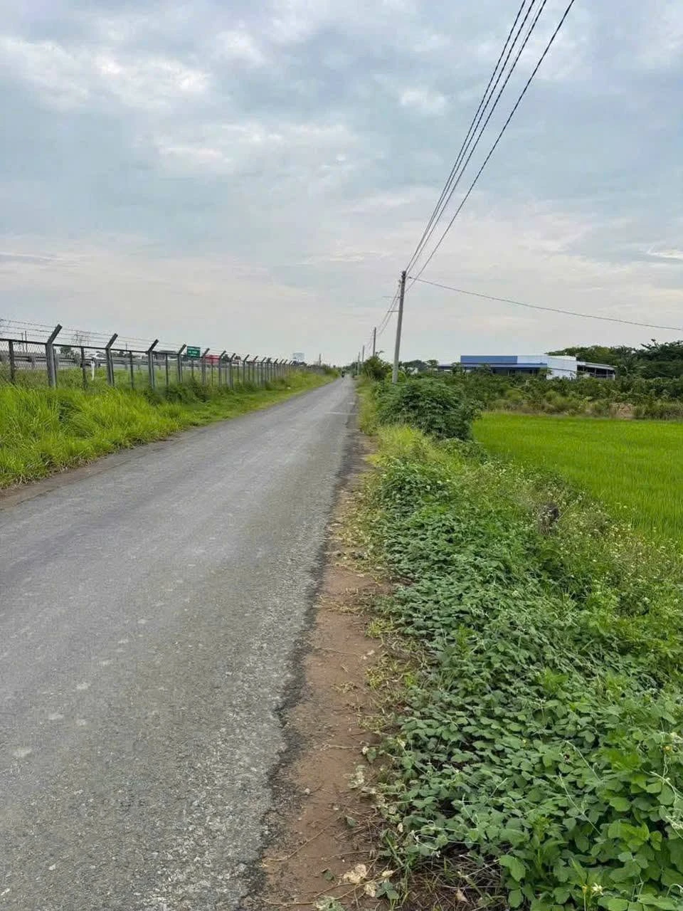 Bán đất 3.911,5m² cạnh cao tốc TP.HCM-Trung Lương, Tây Ninh - Ảnh 1