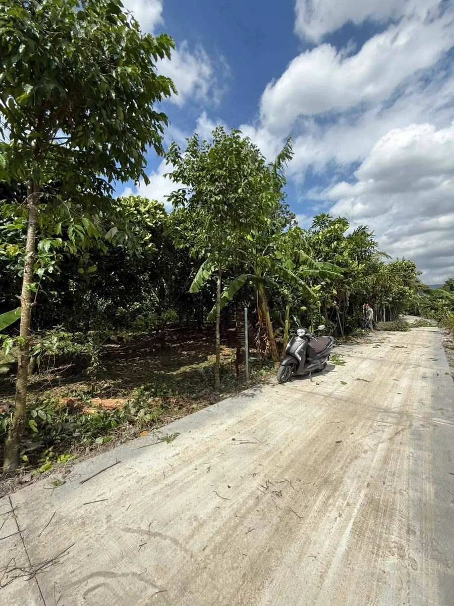 Bán đất vườn 500m² Bảo Vinh, Đồng Nai, 650 triệu - Ảnh thu nhỏ 2