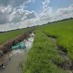 Bán 11.500m² đất lúa mặt tiền kênh Bình Chánh - Ảnh thu nhỏ 3