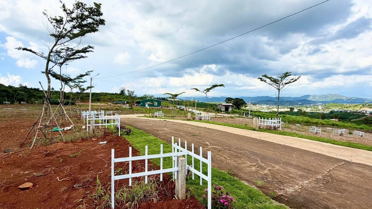 Bán đất 1.000m² giá 550 triệu, sổ riêng tại Đinh Văn, Lâm Hà, Lâm Đồng - Ảnh thu nhỏ 4