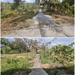 Bán nhà vườn 3.400 m² tại Châu Thành, Cần Thơ 2,6 tỷ - Ảnh thu nhỏ 5