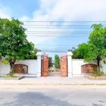 Bán lô đất 1.537m² mặt tiền đường Tỉnh Lộ 826, Cần Đước, Long An - Ảnh thu nhỏ 2
