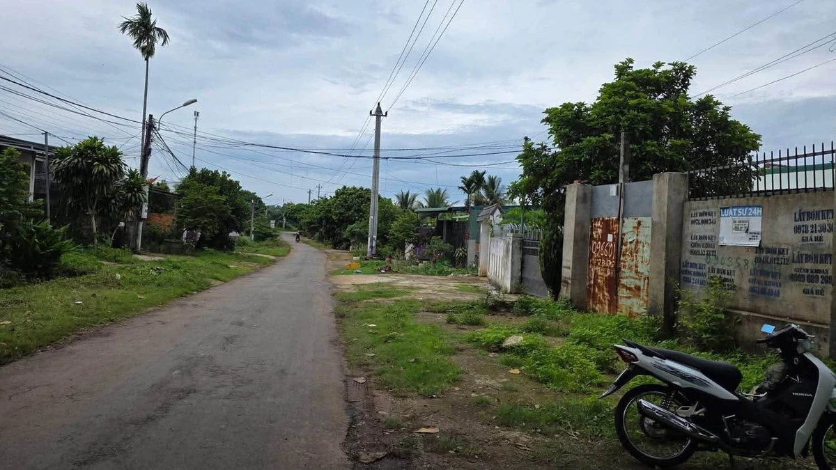 Bán đất mặt tiền kinh doanh Nguyễn Trường Tộ 120m² Nhà Bè - Ảnh thu nhỏ 4