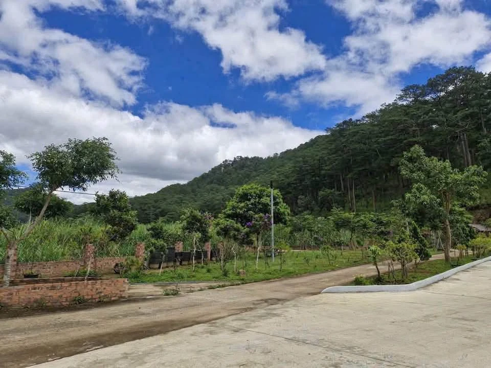 Bán lô đất 4100m2 đường Mimoza Đà Lạt 8.5 tỷ - Ảnh thu nhỏ 3