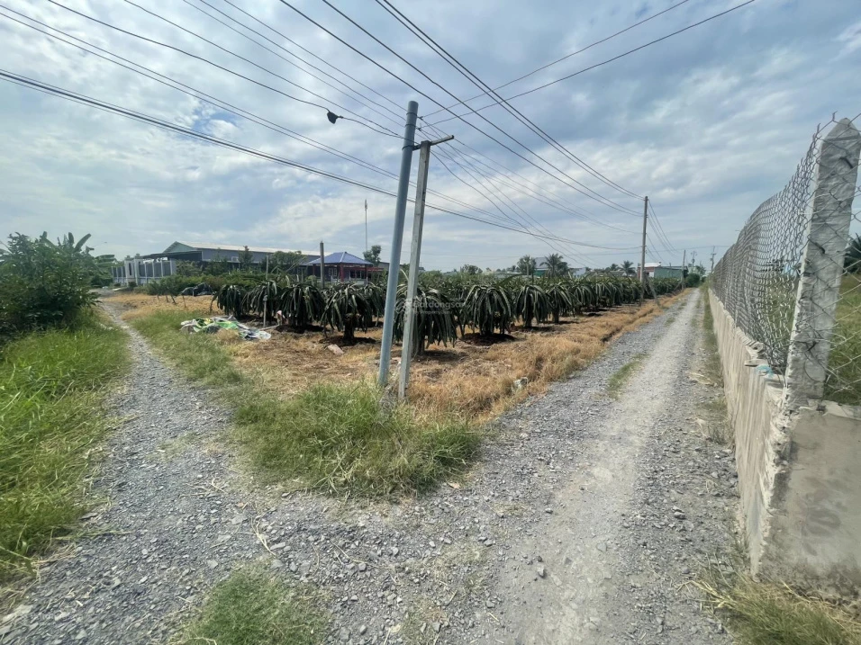 Bán đất 100.4m2, 280 triệu, Xã Kiểng Phước, Huyện Gò Công Đông, Tiền Giang - Ảnh thu nhỏ 4