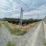 Bán đất 100.4m2, 280 triệu, Xã Kiểng Phước, Huyện Gò Công Đông, Tiền Giang - Ảnh thu nhỏ 4