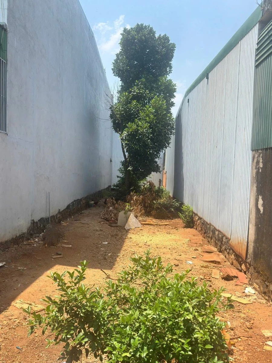 Bán đất nền mặt tiền Nguyễn Xuân Nguyên 75m² Đắk Lạk - Ảnh thu nhỏ 3