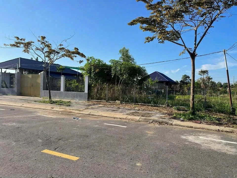 Bán biệt thự mặt tiền 20m 587m² Ngô Tất Tố Bà Rịa - Ảnh thu nhỏ 3