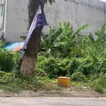 Bán đất 110m² đường số 15, Phường Bình Khánh, Long Xuyên - Ảnh thu nhỏ 2