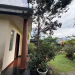 Bán nhà hoàn công mặt tiền đường Tô Hiệu với diện tích 763m2 (11,8mx72m) sẵn 187m2 thổ cư - Ảnh thu nhỏ 37