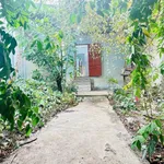Bán nhà cấp 4 sổ riêng thổ cư 190m2 gần chợ 26, P. Tân Phong, Biên Hòa - Ảnh thu nhỏ 4
