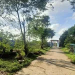 Bán gấp mặt đường Quản Lộ Phụng Hiệp, Tân Thành, Cà Mau, 8898m, ngang 69m, chỉ 29 tỷ - Ảnh thu nhỏ 6